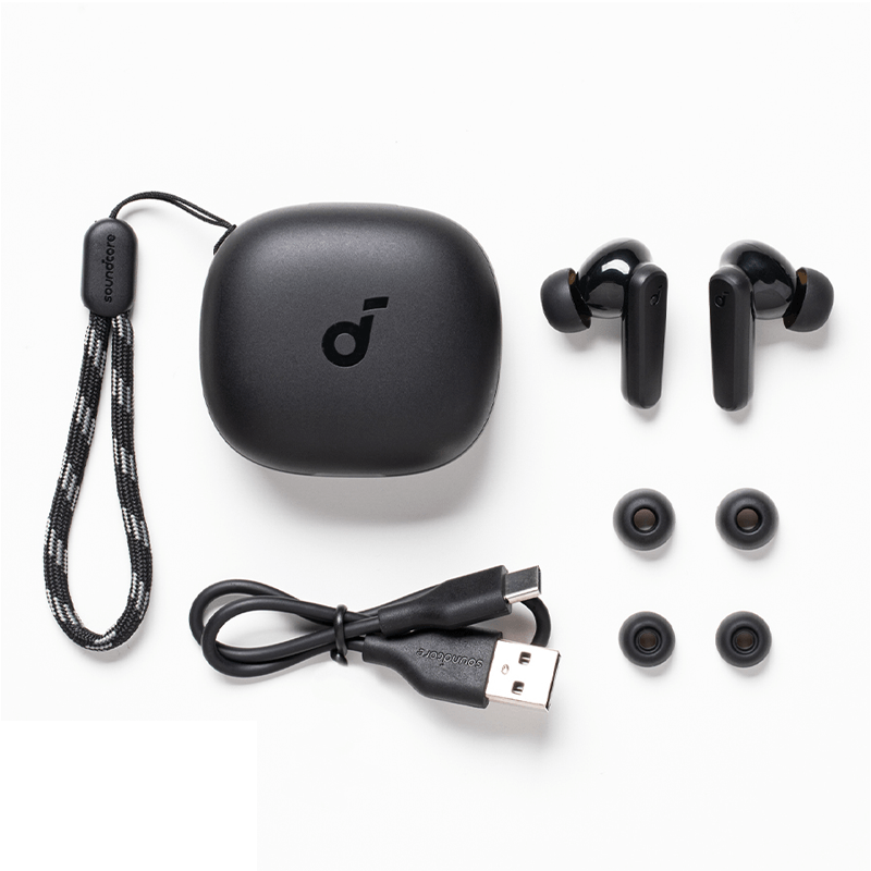 Anker Soundcore R50i